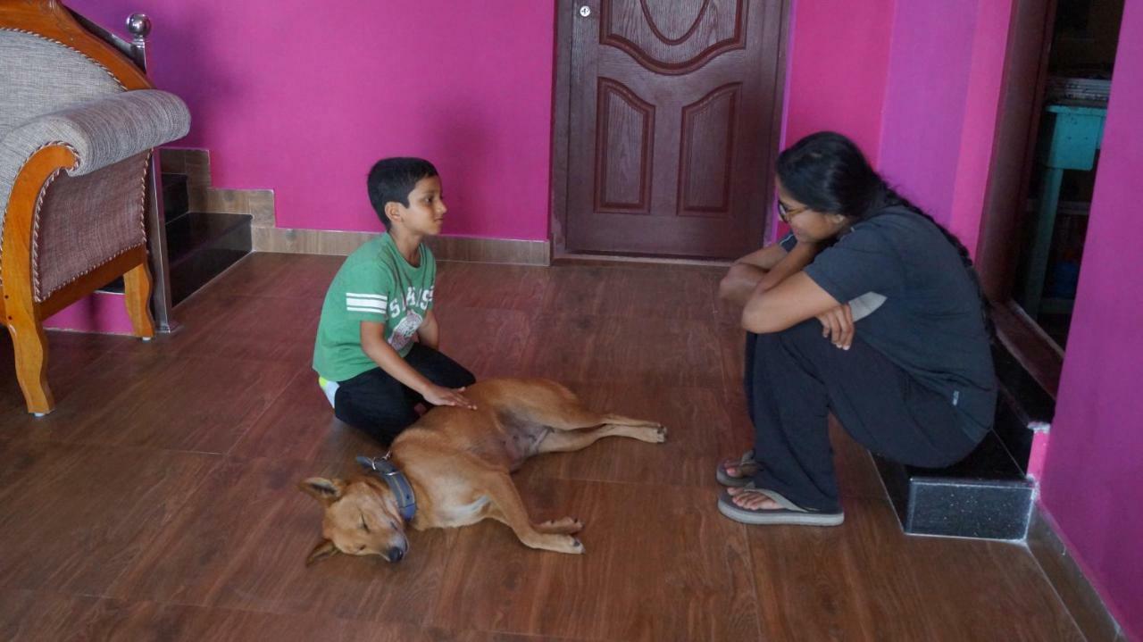 Grace Inn Munnar Homestay 외부 사진
